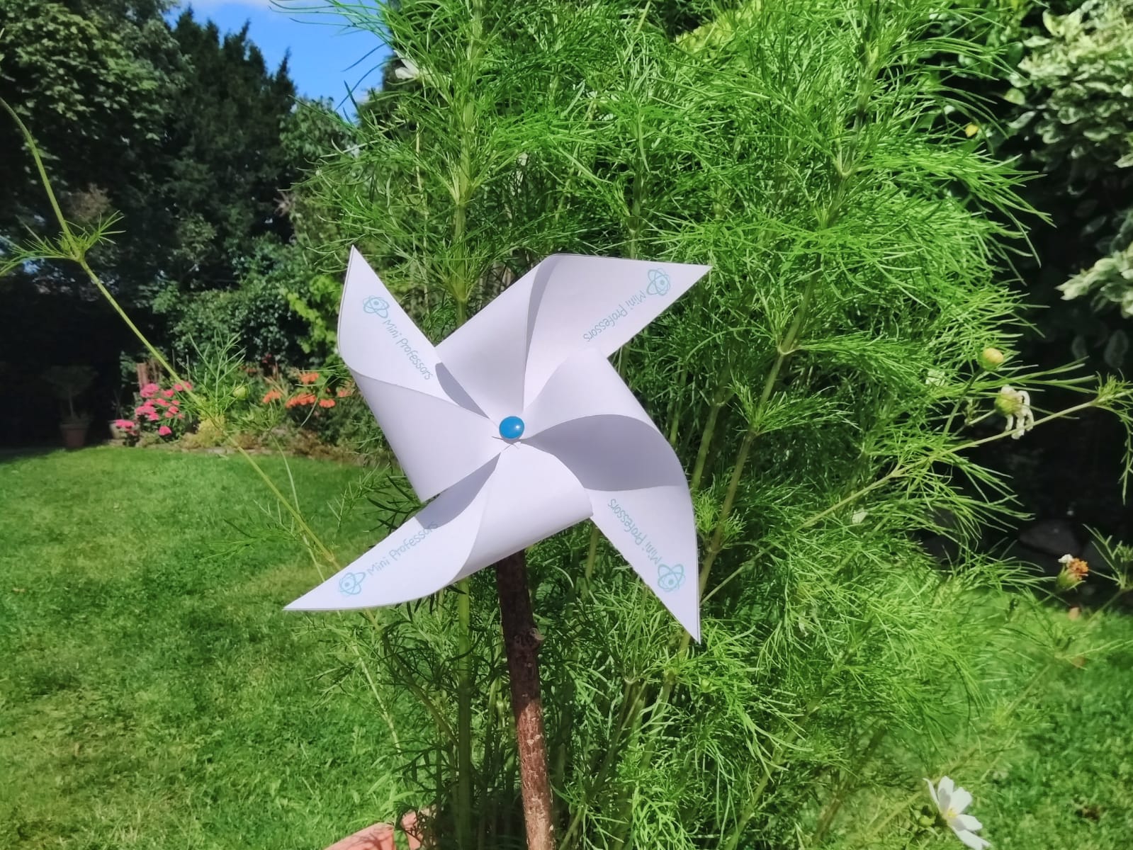 Make a Mini Professors pinwheel.