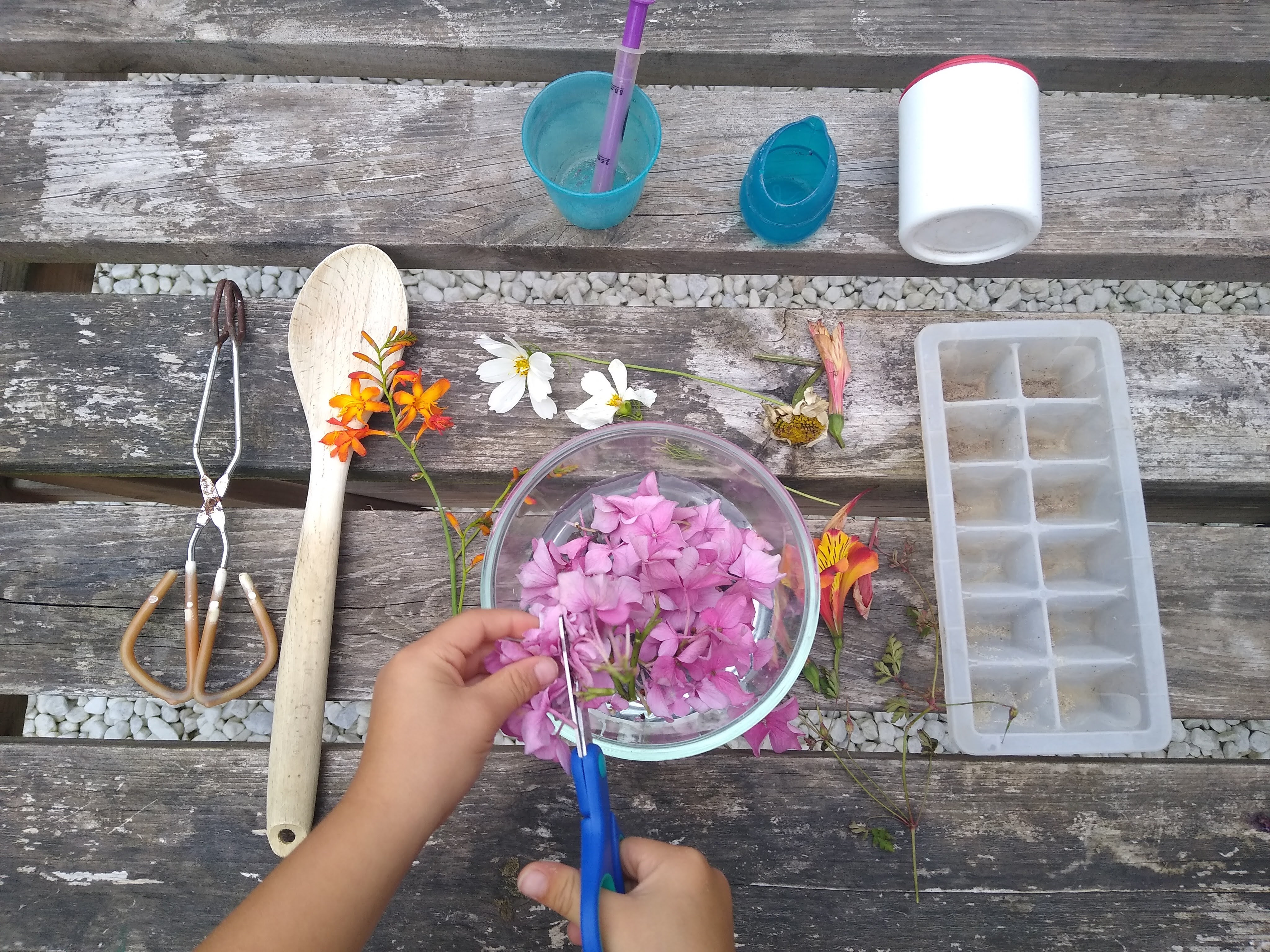 Make your Own Perfume or Garden Soup