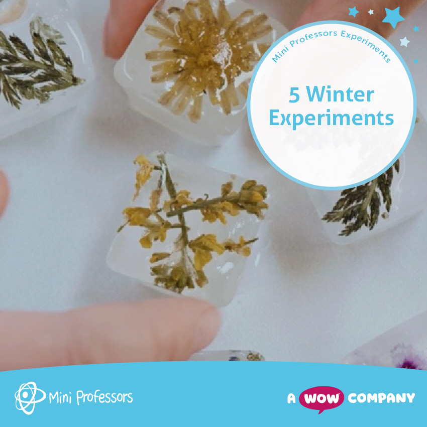 5 Easy Winter Experiments