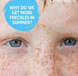 Why Do We Get More Freckles in Summer?
