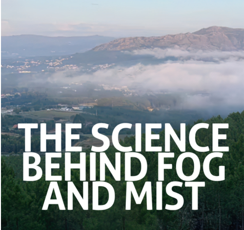 Why Are Autumn Mornings So Foggy? The Science Behind Fog and Mist